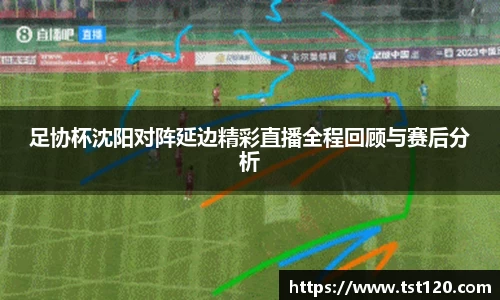 足协杯沈阳对阵延边精彩直播全程回顾与赛后分析
