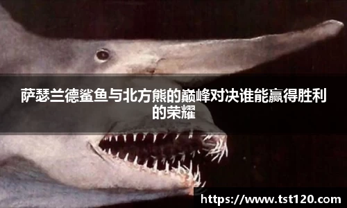 萨瑟兰德鲨鱼与北方熊的巅峰对决谁能赢得胜利的荣耀